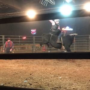 Meet your Posher, Trevor